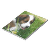 Bloc-note Chiot (Tourné)