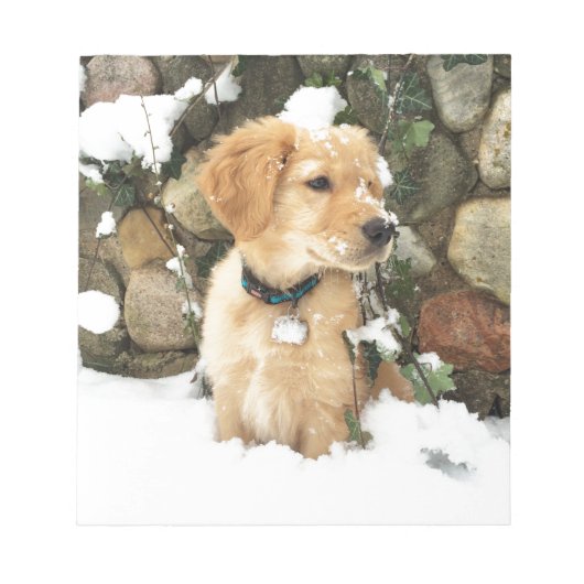 Bloc-note Chiot à neige (Devant)