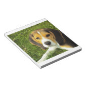 Bloc-note chiot beagle (Incliné)
