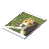Bloc-note chiot beagle (Tourné)