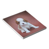 Bloc-note Chiot Cavalier King Charles Spaniel (Incliné)