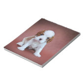 Bloc-note Chiot Cavalier King Charles Spaniel (Tourné)