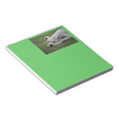 Bloc-note Chiot de boîte à sucre (Incliné)