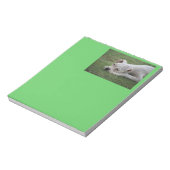 Bloc-note Chiot de boîte à sucre (Tourné)