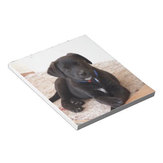 Bloc-note Chiot de récupération Black Labrador (Incliné)