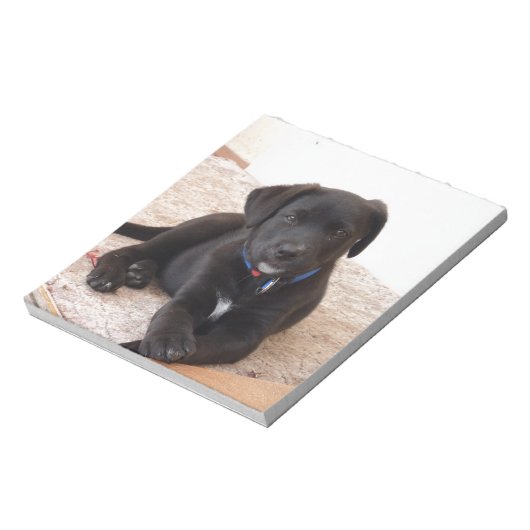 Bloc-note Chiot de récupération Black Labrador (Tourné)