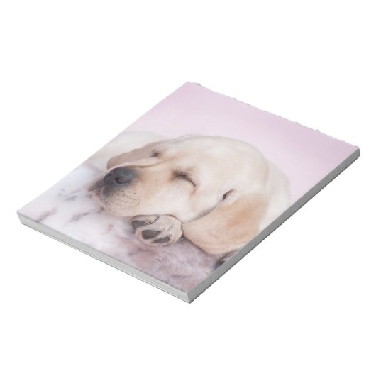 Bloc-note Chiot de repêcheur du labrador jaune (Tourné)