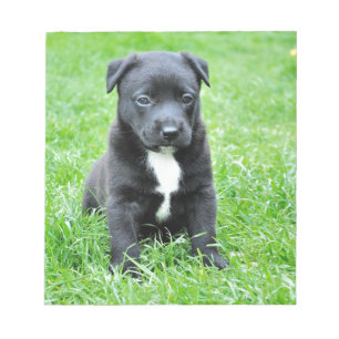 Bloc-note Chiot totalement adorable