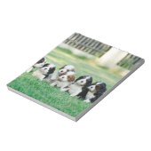 Bloc-note Chiots Cavalier King Charles Spaniel (Tourné)