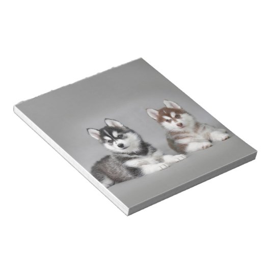 Bloc-note Chiots husky sibériens (Incliné)