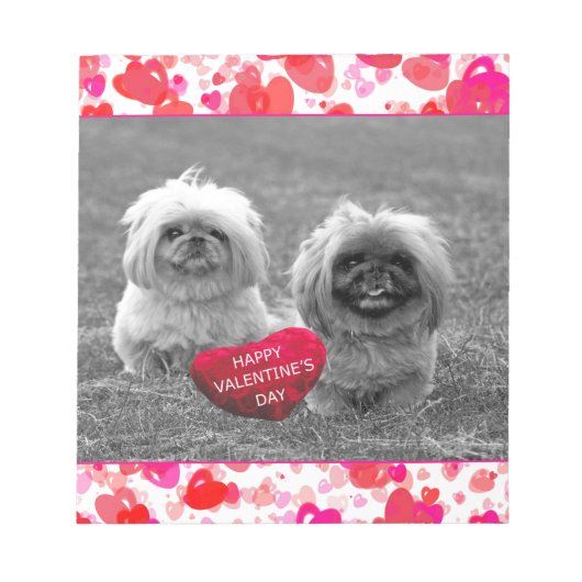 Bloc-note Chiots Pekingese souhaitant Heureuse Sainte-Valent (Devant)