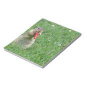 Bloc-note Chipmunk.JPG (Tourné)