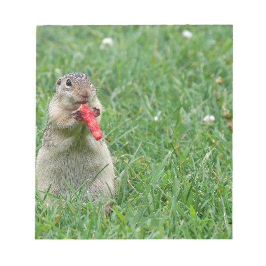 Bloc-note Chipmunk.JPG (Devant)