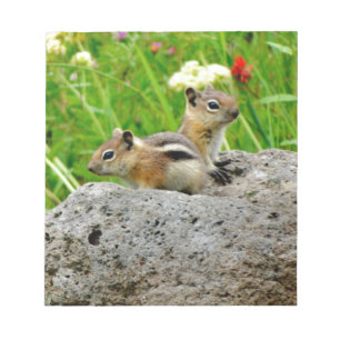 Bloc-note Chipmunks