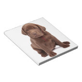 Bloc-note Chocolat Lab Puppy (Incliné)