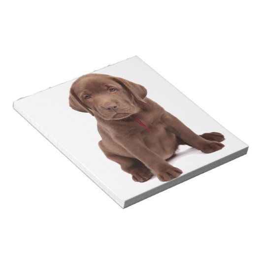 Bloc-note Chocolat Lab Puppy (Incliné)