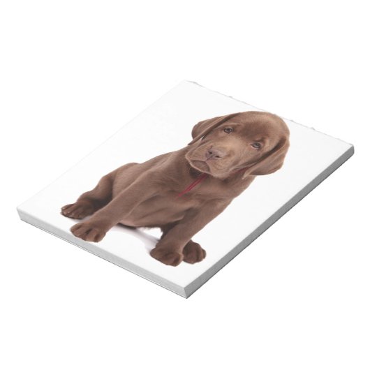 Bloc-note Chocolat Lab Puppy (Tourné)