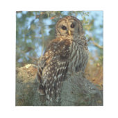 Bloc-note Chouette barrée dans une mousse espagnole (Devant)