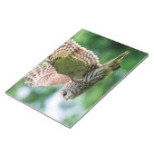 Bloc-note Chouette barrée en vol (Incliné)