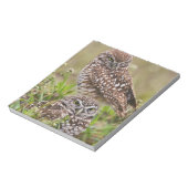 Bloc-note Chouette bractée, Athene cunicularia, Cape Coral, (Tourné)