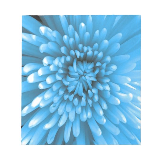 Bloc-note Chrysanthème bleu (Devant)