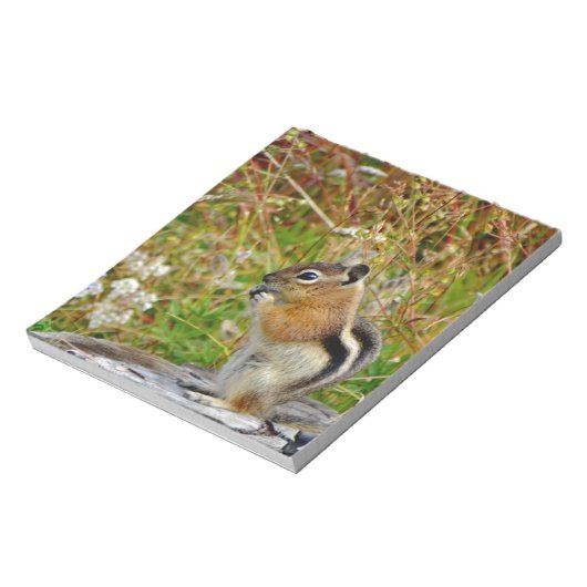 Bloc-note Chubby mignon chipmunk sur la souche de bois (Tourné)