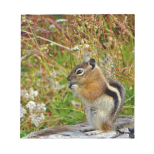 Bloc-note Chubby mignon chipmunk sur la souche de bois
