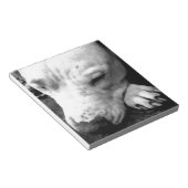 Bloc-note cicatrice de harry potter chien pit bull blanc (Incliné)