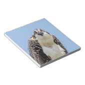 Bloc-note Closeup d'un balbuzard juvénile (Incliné)