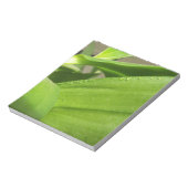 Bloc-note Closeuse plante de l'orchidée Dendrobium verte (Tourné)