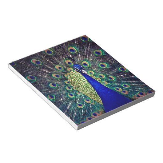 Bloc-note Cobalt Blue Peacock (Incliné)