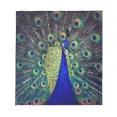 Bloc-note Cobalt Blue Peacock (Devant)