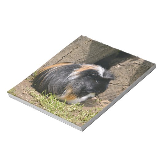 Bloc-note Cochon de Guinée (Tourné)