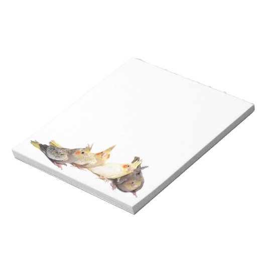 Bloc-note Cockatiles (Tourné)