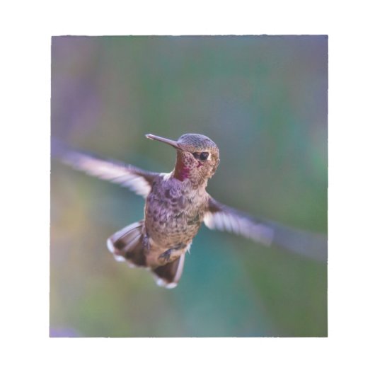 Bloc-note Colibri (Devant)
