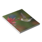 Bloc-note Colibri à gorge rubis mâle (Incliné)
