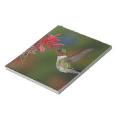Bloc-note Colibri à gorge rubis mâle (Tourné)