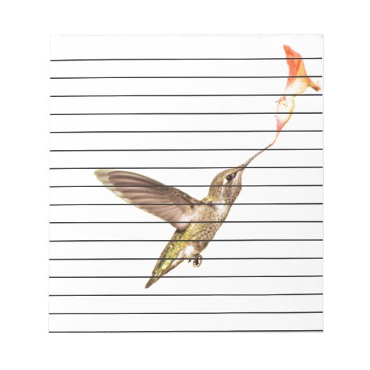 Bloc-note Colibri et fleur (Devant)