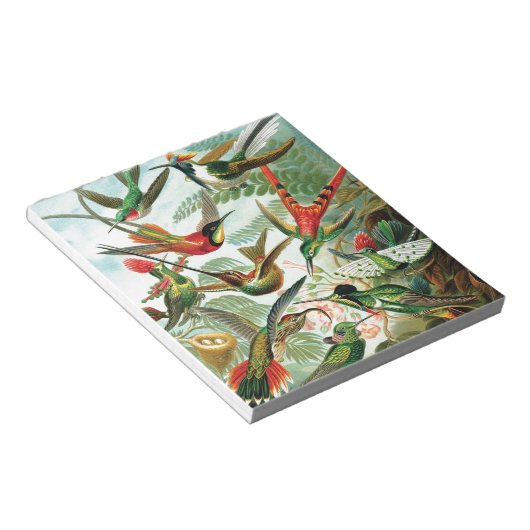 Bloc-note Colibri par Ernst Haeckel (Incliné)