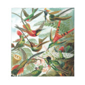 Bloc-note Colibri par Ernst Haeckel (Devant)