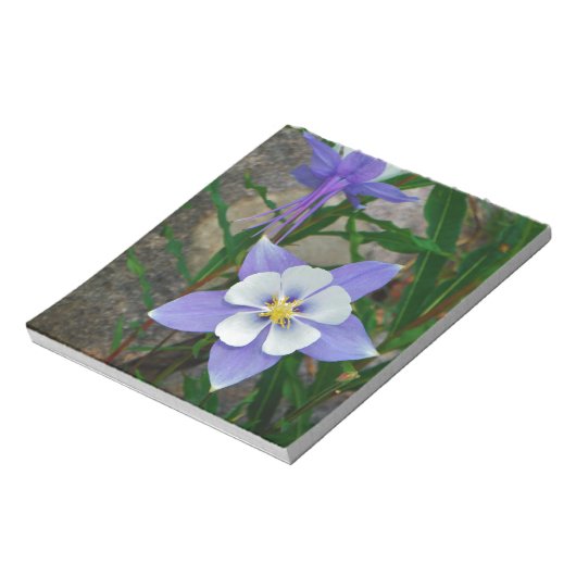 Bloc-note Colonne bleue (Tourné)