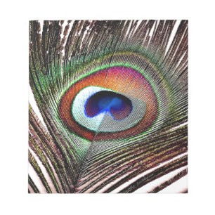 Bloc-note Colorful Copper Peacock Feather