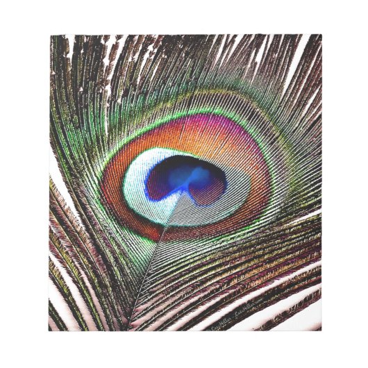 Bloc-note Colorful Copper Peacock Feather (Devant)