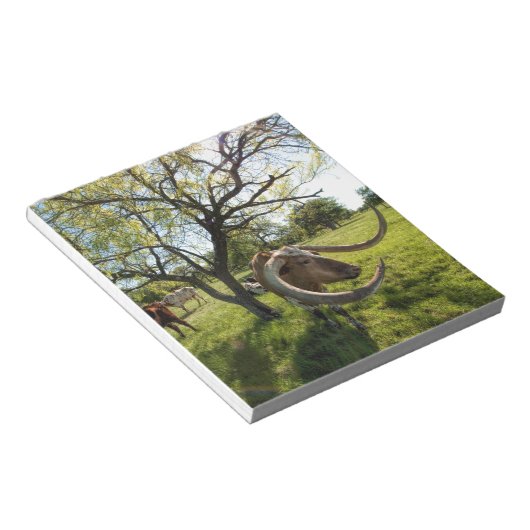 Bloc-note Colossol Texas Longhorn (Incliné)