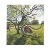 Bloc-note Colossol Texas Longhorn (Devant)