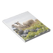 Bloc-note Conception risquée - Moutons dans un champ (Incliné)