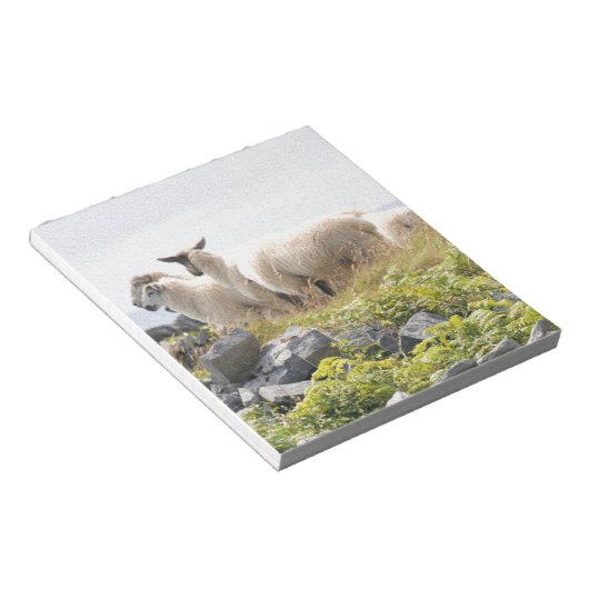 Bloc-note Conception risquée - Moutons dans un champ (Incliné)