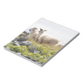 Bloc-note Conception risquée - Moutons dans un champ (Tourné)