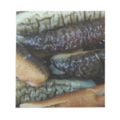 Bloc-note Concombre de mer ... Nourriture du marché du Yaowa (Devant)