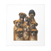 Bloc-note Copie Boxer (Devant)